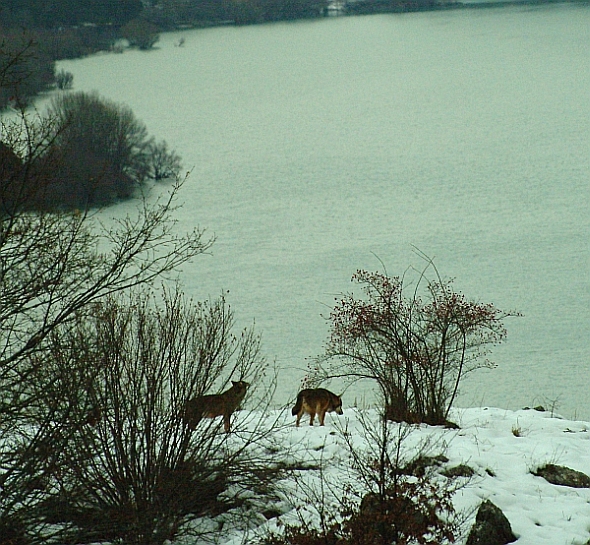 Laghi...dell''ABRUZZO